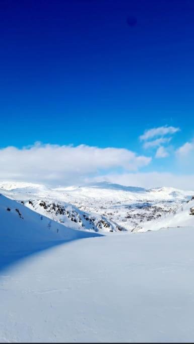 Koselig Og Moderne Leilighet, Meget Sentralt I Narvik Med Gratis Parkering! Exterior photo
